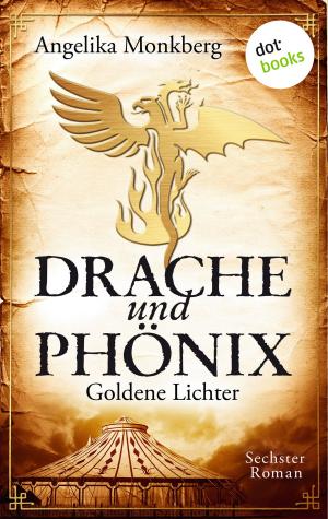 Cover of the book DRACHE UND PHÖNIX - Band 6: Goldene Lichter by Martin Niessen