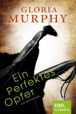 Cover of the book Ein perfektes Opfer by Susanne Fülscher