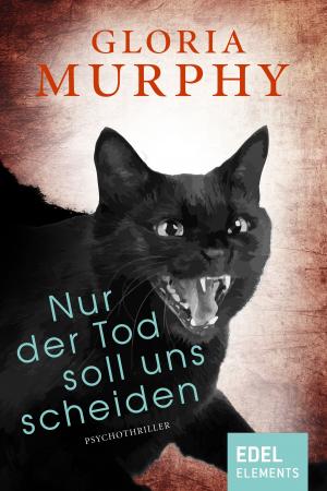 Cover of the book Nur der Tod soll uns scheiden by Rebekka Pax