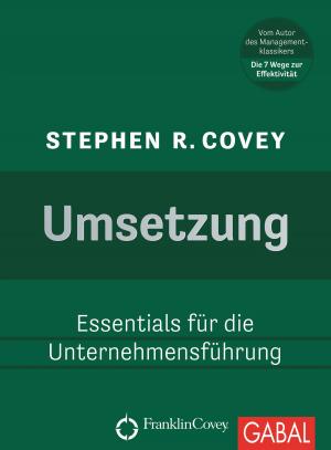 Cover of the book Umsetzung by Josef W. Seifert