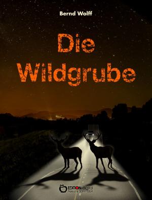 Cover of Die Wildgrube by Bernd Wolff, EDITION digital