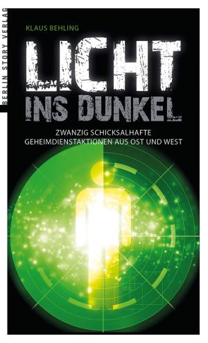 Cover of the book Licht ins Dunkel by Stefanie Röfke