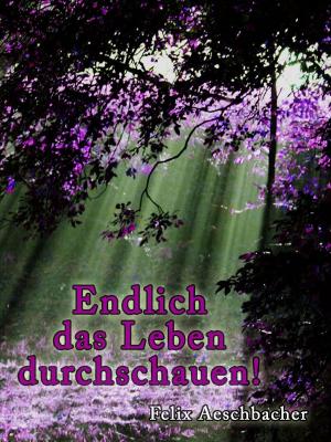 Cover of the book Endlich das Leben durchschauen by Ruth Gontrum