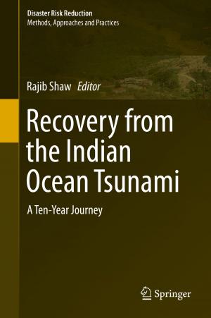 bigCover of the book Recovery from the Indian Ocean Tsunami by 