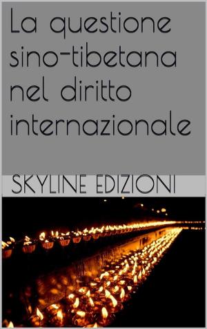 Cover of the book La questione sino tibetana nel diritto internazionale by Skyline Edizioni