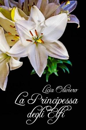 Cover of the book La Principessa degli Elfi by 羅伯特．喬丹 Robert Jordan, 布蘭登．山德森 Brandon Sanderson