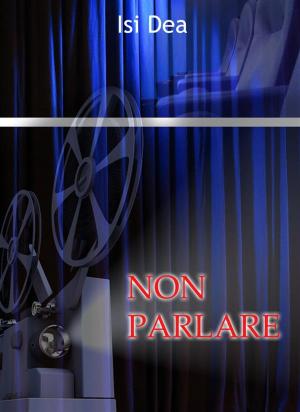 Cover of the book Non parlare by Birgitte Rasine