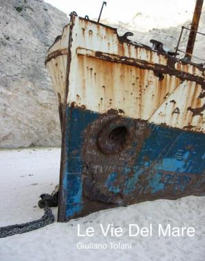Book cover of Le Vie del Mare