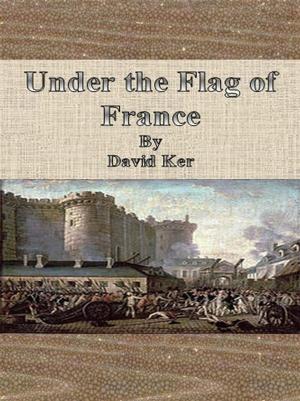 Cover of the book Under the Flag of France by Frank Andriat