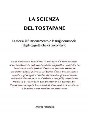 Book cover of La scienza del tostapane