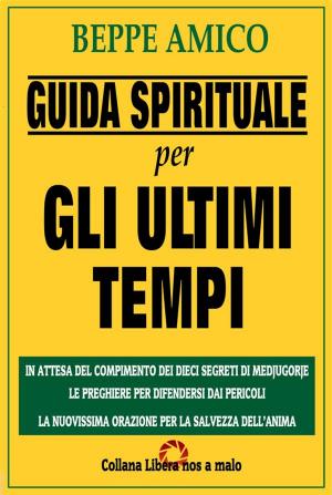 Cover of the book Guida Spirituale per gli ultimi tempi by Santa Brigida di Svezia