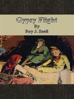 Book cover of Gypsy Flight