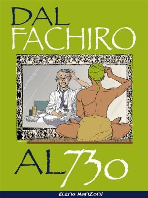 Cover of the book Dal fachiro al 730 by Steven Attewell