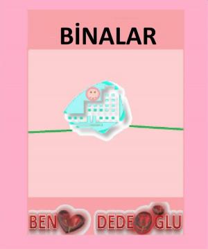 Book cover of Binalar