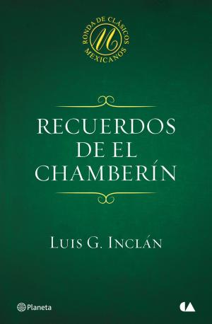 Cover of the book Recuerdos de El Chamberín by Lof Yu