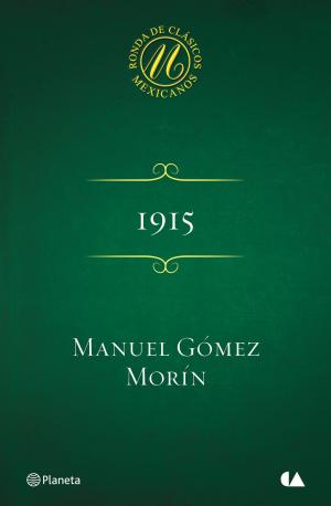 Cover of the book 1915 by Moruena Estríngana
