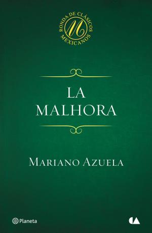 Cover of the book La malhora by Vicente Hernández Reche