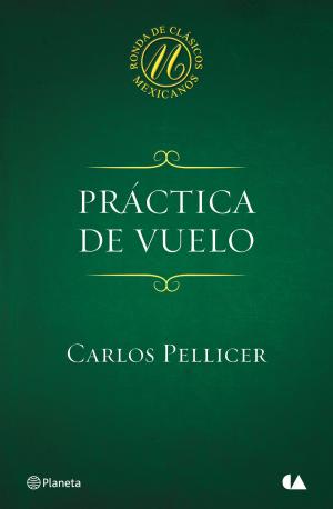 Cover of the book Práctica de vuelo by J.D. Barker