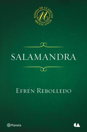 Cover of the book Salamandra by Jorge Blass, Fernando Botella