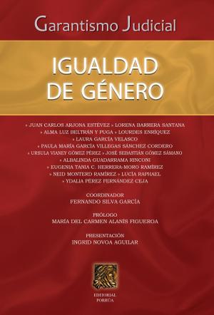 Cover of the book Garantismo Judicial: Igualdad de género by Christopher Favrot Arndt
