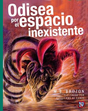 Cover of the book Odisea por el espacio inexistente by José Luis Martínez
