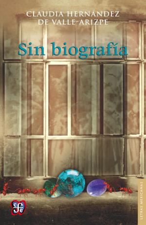 Cover of the book Sin biografía by Salvador Elizondo