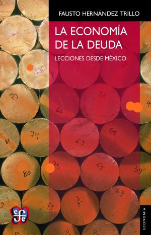 Cover of the book La economía de la deuda by Silvia Molina
