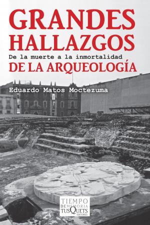 Cover of the book Grandes hallazgos de la arqueología by Vicente Garrido Genovés