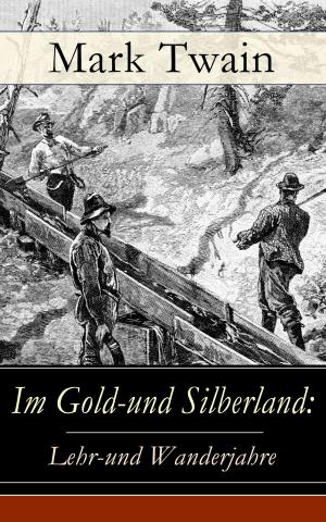 Cover of the book Im Gold-und Silberland: Lehr-und Wanderjahre by Paul Grabein