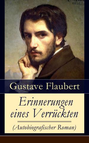 Cover of the book Erinnerungen eines Verrückten (Autobiografischer Roman) by Charlotte Brontë, Emily Brontë