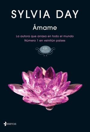 Cover of the book Ámame by Elizabeth Kuhnke