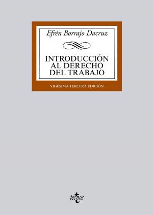 Cover of the book Introducción al Derecho del Trabajo by Juan Gorelli Hernández, Maximiliano Vílchez Porras, Manuel Álvarez Alcolea, Ángel Luis del Val Tena