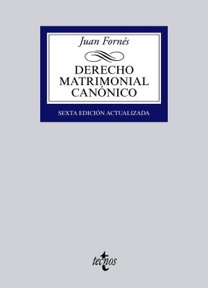 bigCover of the book Derecho matrimonial canónico by 