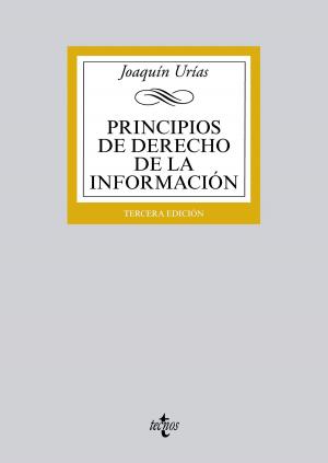 Cover of the book Principios de Derecho de la Información by Luis Arroyo, Martín Becerra, Ángel García Castillejo, Óscar Santamaría