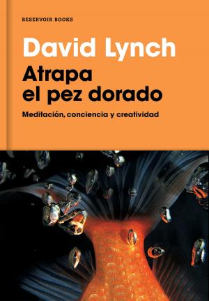 Cover of the book Atrapa el pez dorado by Romina Naranjo