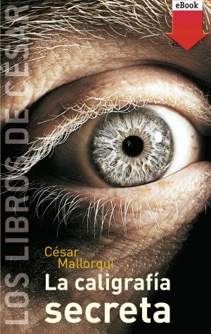 Cover of the book La caligrafía secreta (eBook-ePub) by Begoña Ibarrola