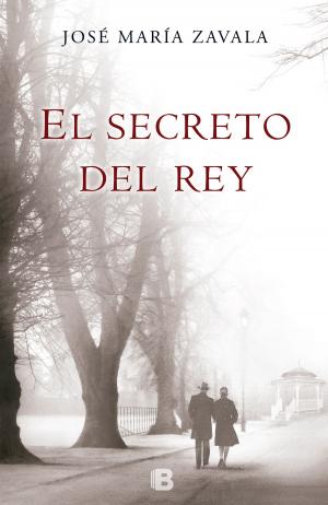 Cover of the book El secreto del Rey by Aidan J. Reid