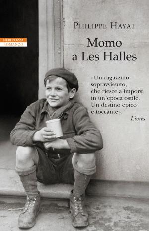 Book cover of Momo a Les Halles