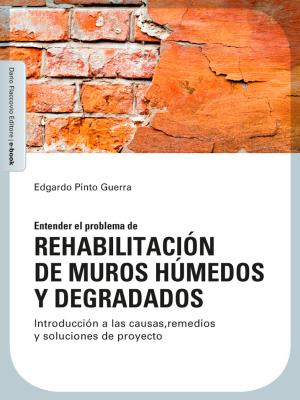 Cover of the book Rehabilitación de muros húmedos y degradados by Fabio Andreolli