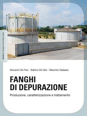 Cover of the book Fanghi di depurazione by Alberto Bruschi, Fausto Alessandro Crippa