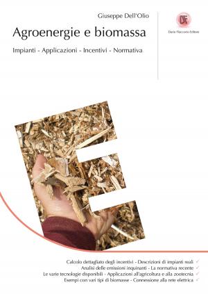 Cover of the book Agroenergie e biomassa by Giuseppe Mihelcic