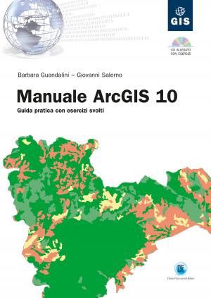 Cover of the book Manuale ArcGIS 10 by Paolo Fabrizio