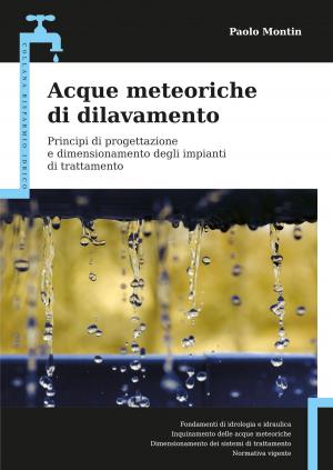 Cover of the book Acque meteoriche di dilavamento by Stelvio Mestrovich