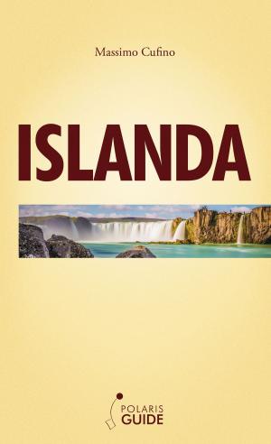 Cover of the book Islanda by Anna Maspero