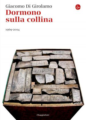 Cover of the book Dormono sulla collina. 1969-2014 by Loretta Napoleoni