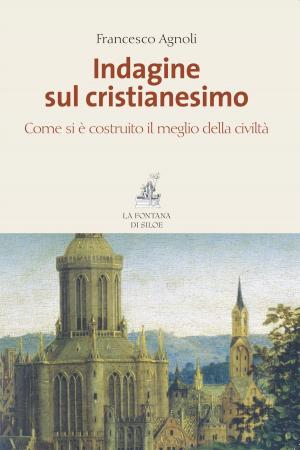 Cover of the book Indagine sul cristianesimo by PEDRO MONTOYA
