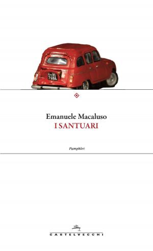 Cover of the book I santuari by Marina Cvetaeva, Erri De Luca
