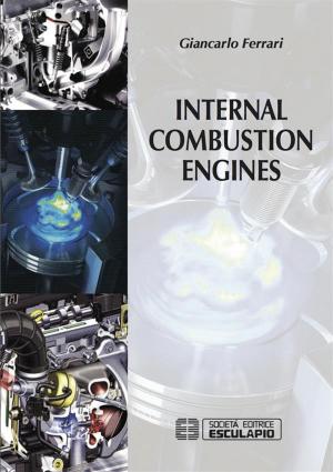 Cover of Internal Combustion Engines