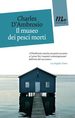 Cover of the book Il museo dei pesci morti by Stanley Elkin