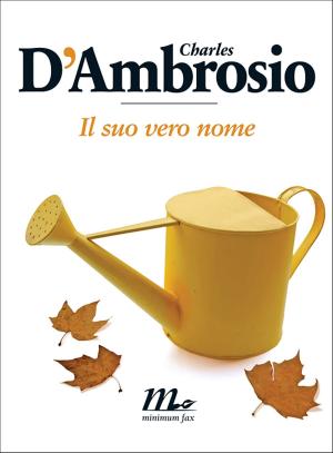 Cover of the book Il suo vero nome by Antonio Pascale